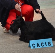 Bout de zan du Moulin de Mac Grégor